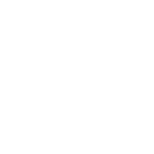 lifting wieghts icon